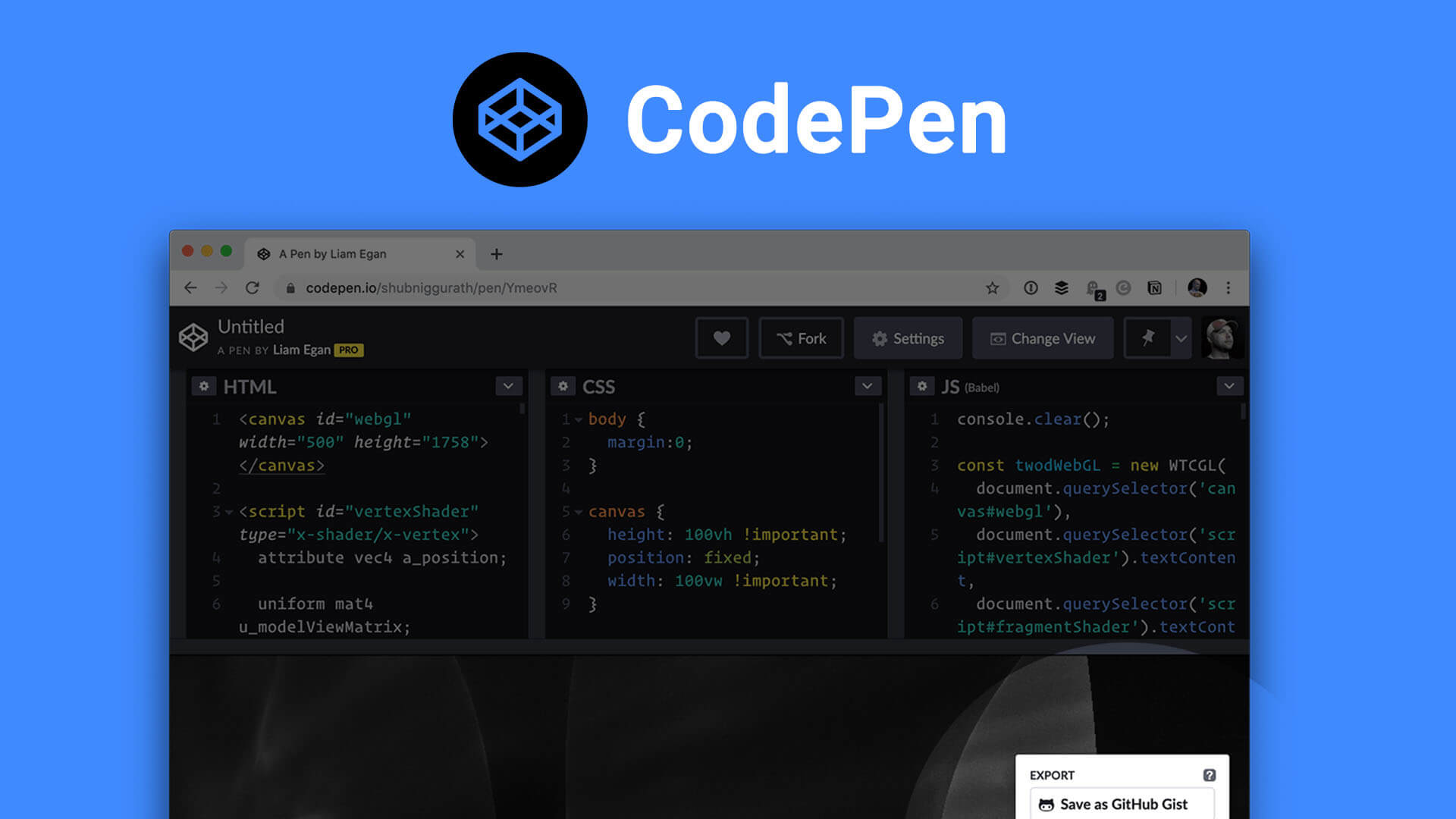 CodePen